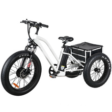 Steel Frame Electric Fat Tyre Tricycle Cargo Ebike